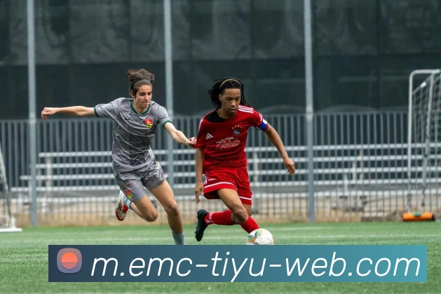 App Interface Preview