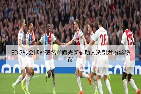 EDG转会期补强名单曝光新辅助人选引发粉丝热议(EMCSPORTS)